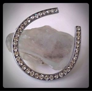*RARE* Czechoslovakia Crystal HorseShoe Brooch VTG